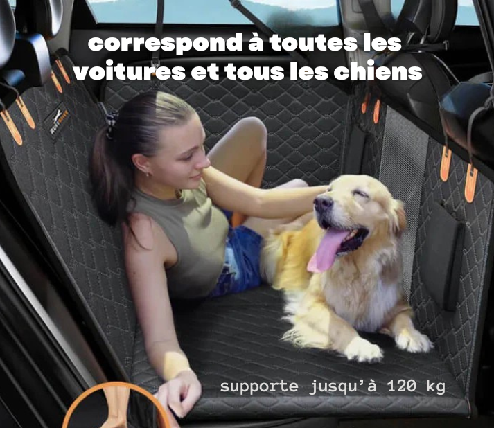 Protection de siège auto rigide pour chien