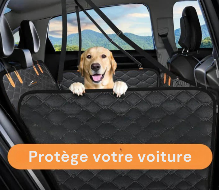 Protection de siège auto rigide pour chien