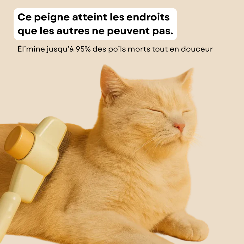 Peigne de toilettage