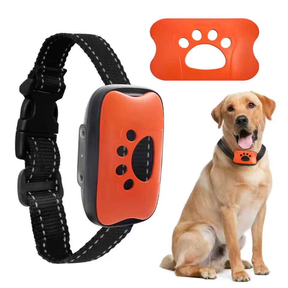 Collier anti aboiement Pour chiens